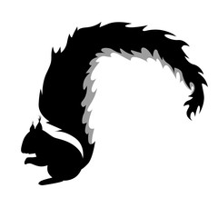 monochrome squirrel