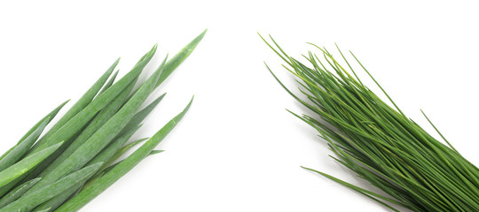 Types of Spring Onions