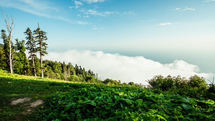 Пейзаж в Абхазии