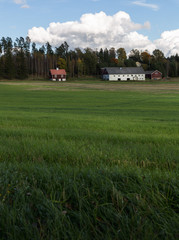 Fototapeta na wymiar Old farm buildings and beautiful green field