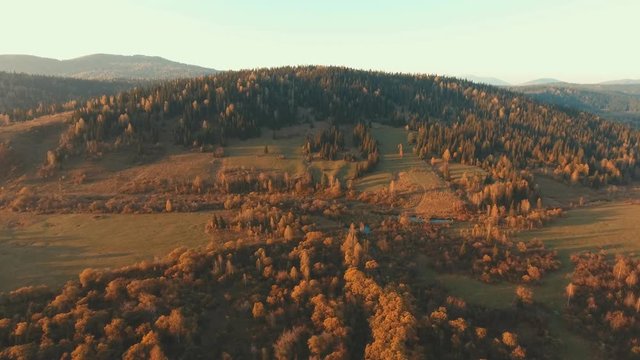 Aerial shot of a hilly and mountainous terrain. Landscape at sunset. Coniferous mountain forest. Fir-Tree on the hill. Orange (gold) color of the sunset. Nature Siberia. Mountain Shoria