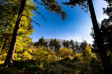Obraz premium Blick gen Gipfel des Ventoux