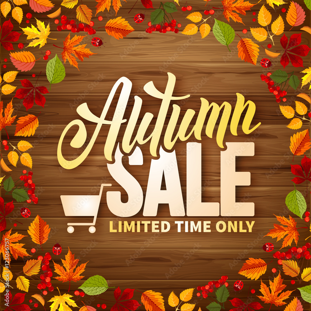 Wall mural Autumn sale