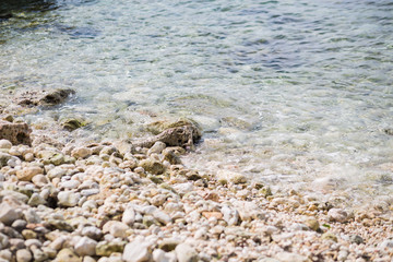 Stone, shell, sea water and beach