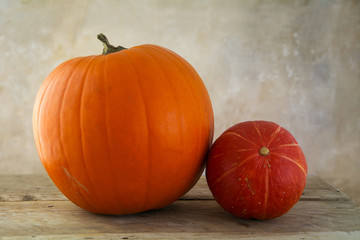 Two pumpkins in orange and red as decoration for autumn halloween and thanksgiving