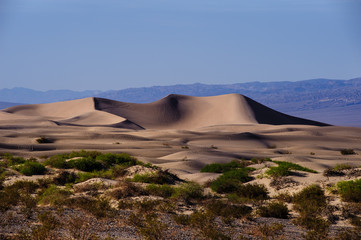 SAMD DUNES