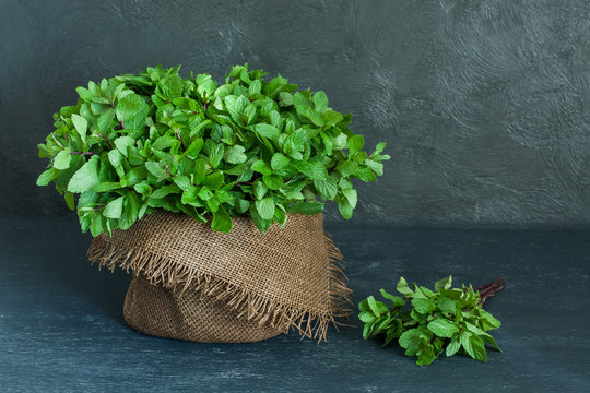 Brown pot and sheaf of mint on gray background