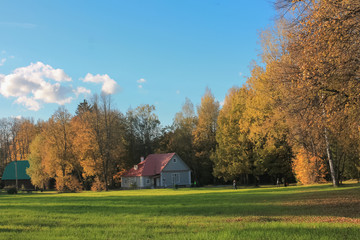 Autumn village scene golden trees, single house, blue sky and sunny, near estate Abramtsevo.