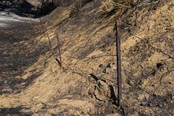 Barbed Wire Fence in Area Burned By Southern California wildfire