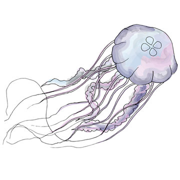 vector hand drawn jellyfish in doodle style