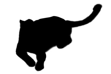 Silhouette of leopard sitting. Isolated on white background.