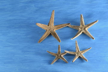 Fototapeta na wymiar 4 estrellas de mar. 2 grandes encima de 2 pequeñas. Fondo pintado de azul.