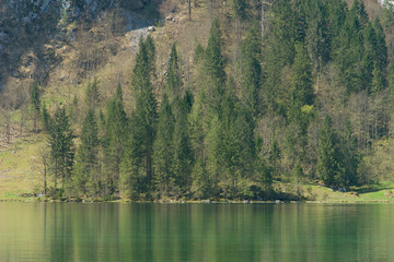 Königssee
