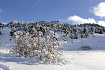 Paisaje nevado en Pirineo catal&aacute;n.
