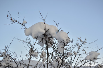 Paisaje nevado en Pirineo catal&aacute;n.