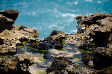 Fototapeta na wymiar Close-up of rock formations and aquamarine waters near Devils b