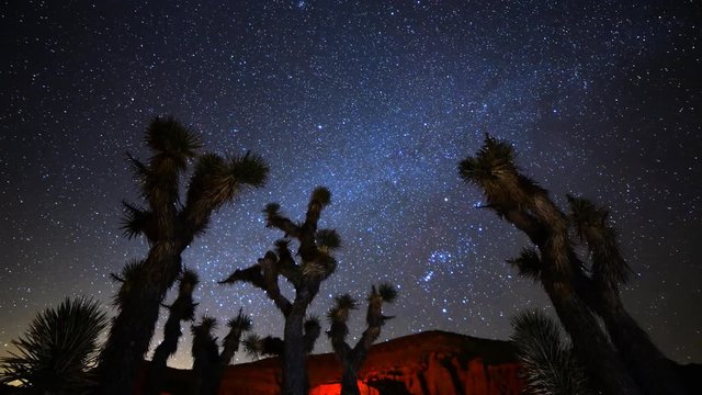Astro Time Lapse of Constellation Orion Setting over Joshua Tree -Tilt Up-