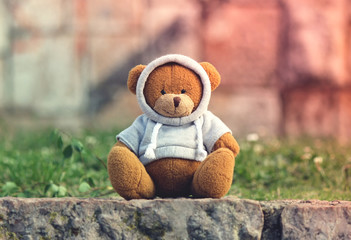 Teddy bear outdoor