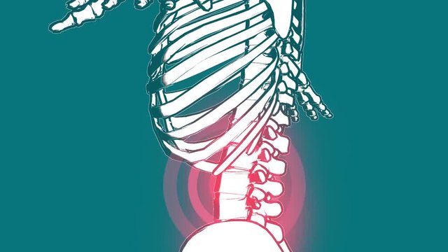 skeleton pain in the lower back spine animation, 3D render