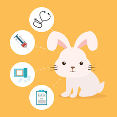pet care center service icons vector illustration design