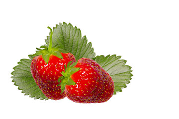 Two red strawberries with leaves isolated on white background