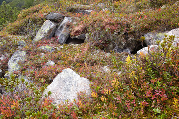 Bergwelt