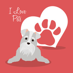 i love pets heart poster vector illustration design
