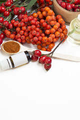 Medicinal plants and herbs composition: Dog rose, bunch branch Rosehips, types Rosa canina hips, essential oil. bunch, Tea with rosehip, Tansy, Anise, dried flowers of linden and chamomile on white 