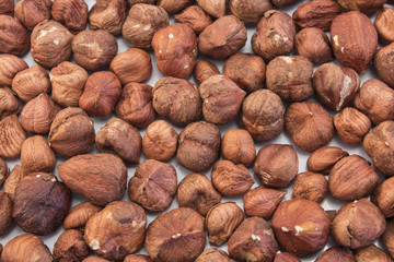 Kernel of Hazelnut as Background