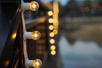 modern decoration garland of electric bulbs Edison .