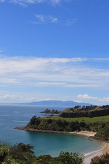Fototapeta premium Island Beach in New Zealand portrait 