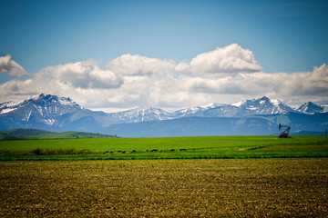 Mountain Pastures