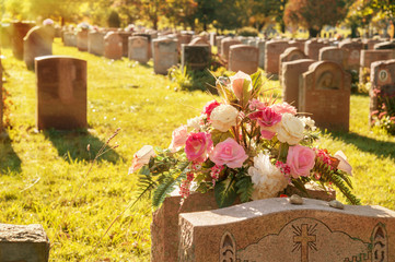 Roses in a cemetery with headstones in the background (faded retro filter)