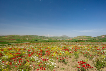 Fototapeta premium Kamyaran, Kurdestan, Iran