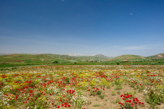 Kamyaran, Kurdestan, Iran