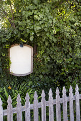 Sign Nestled in Ivy Wall with Picket Fence