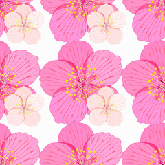 seamless pattern Sakura is couple flower on a white background.