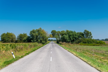 Road tunnel across bocage between fields