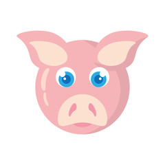 pig animal farm isolated icon vector illustration design