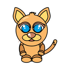cat mascot cartoon isolated icon vector illustration design