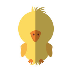 chicken little animal farm isolated icon vector illustration design