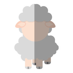 sheep animal farm isolated icon vector illustration design