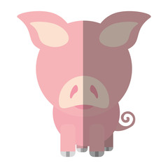 pig animal farm isolated icon vector illustration design
