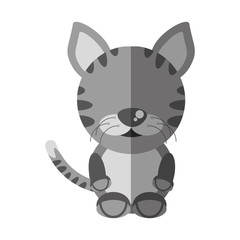 cat mascot cartoon isolated icon vector illustration design