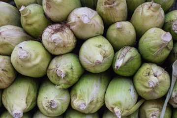Corn harvest on a farm