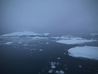 icebergs are on the arctic ocean