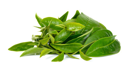 green tea leaf isolated on white background