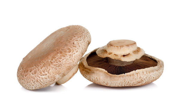 Portobello Mushroom Isolated On The White Background