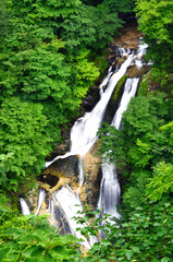 緑の中の霧降の滝
