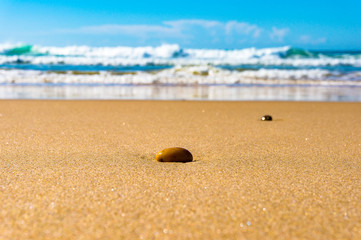 Shiny pebble on sand beach. Summer background with distant ocean. Selective focus, shallow DOF